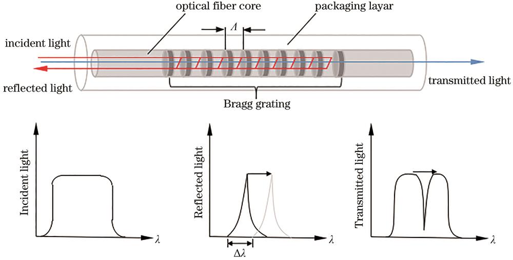 Schematic of fiber grating structure and sensing