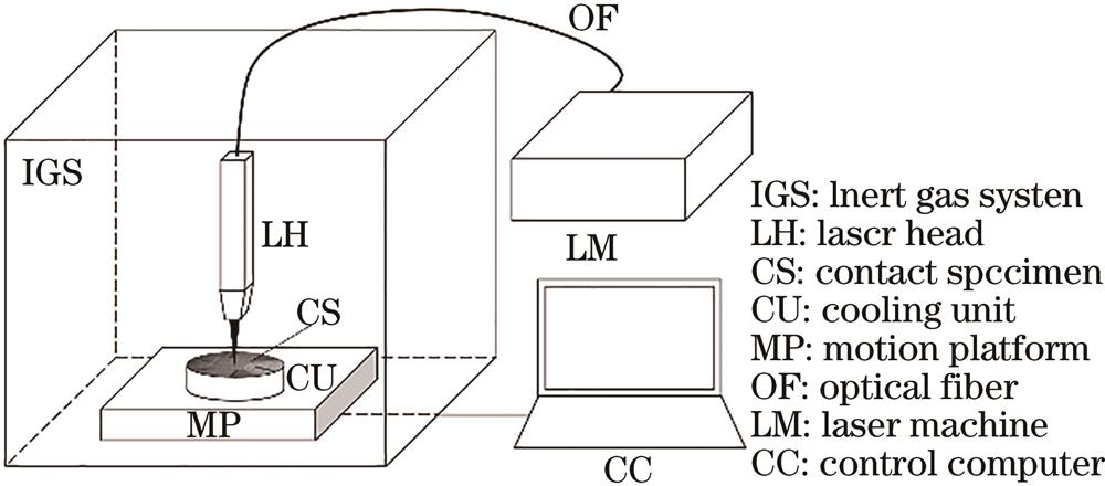 Schematic diagram of laser surface remelting experimental system