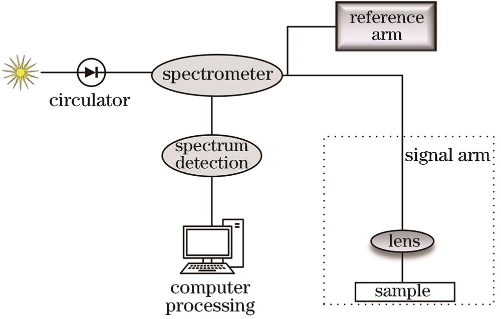 Schematic diagram of spectral domain OCT system