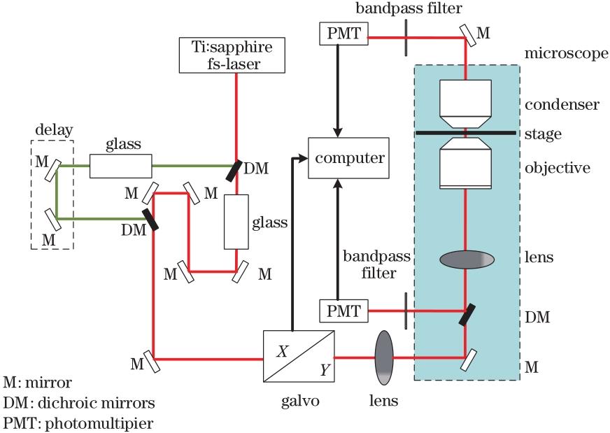 Overall design scheme of spectral focusing cars microscopic imaging system