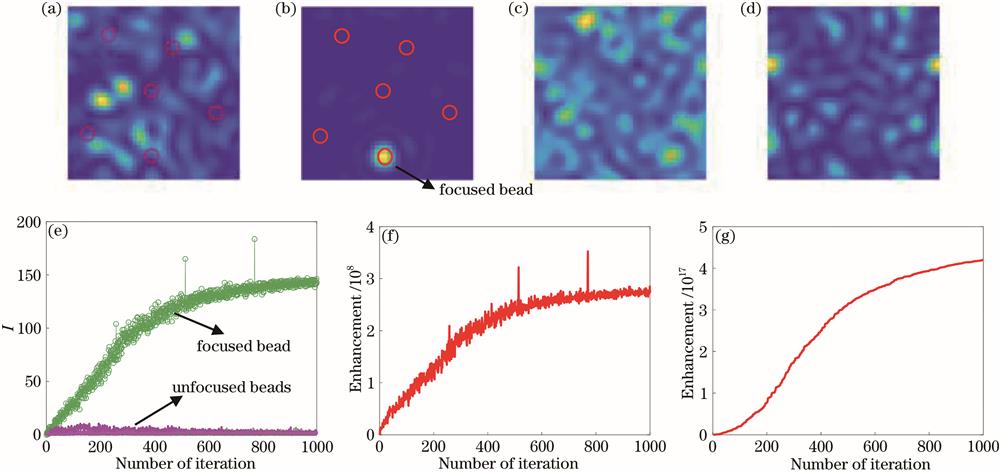Results of wave-front shaping based on region speckle variance. (a) Excitation speckle on CAM2 of non-optimized; (b) excitation speckle on CAM2 of optimized; (c) fluorescent speckle on CAM1 of non-optimized; (d) fluorescent speckle on CAM1 of optimized; (e) variation of intensity of excitation speckle on targets; (f) variation of intensity of target speckle; (g) variation of region variance