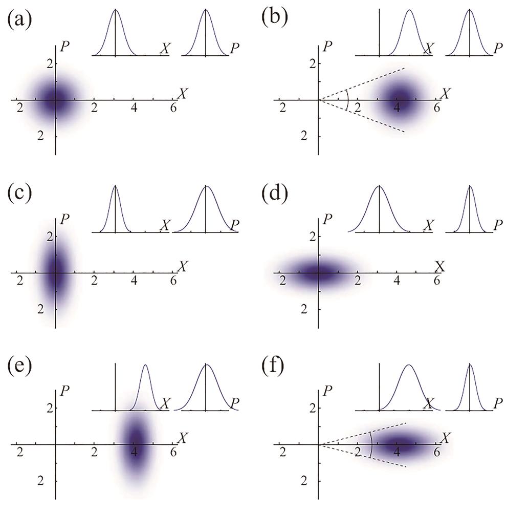 Wigner functions of quantum states. (a) Vacuum state; (b) coherent state; (c)(d) amplitude quadrature and phase quadrature squeezed vacuum states; (e)(f) amplitude quadrature and phase quadrature squeezed coherent states (insets: corresponding edge distribution of quadrature amplitude and quadrature phase components of Wigner function) [31]