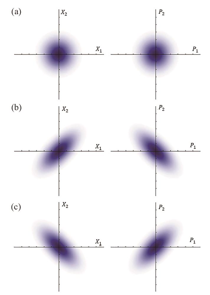 Wavefunctions of two-mode states in the position (left) and momentum (right) bases. (a) Two-mode vacuum state is uncorrelated in both bases; (b) two-mode squeezed state with amplitude quadrature correlated, and phase quadrature observables anticorrelated; (c) two-mode squeezed state with amplitude quadrature anticorrelated, and phase quadrature correlated [31]