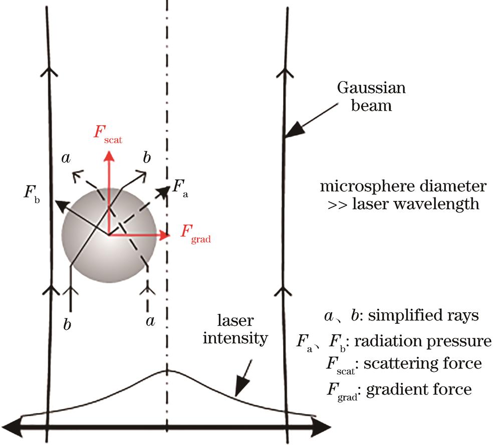 Scattering force and gradient force of off-axis high index microsphere in the near-field of a mildly focused Gaussian beam[31]