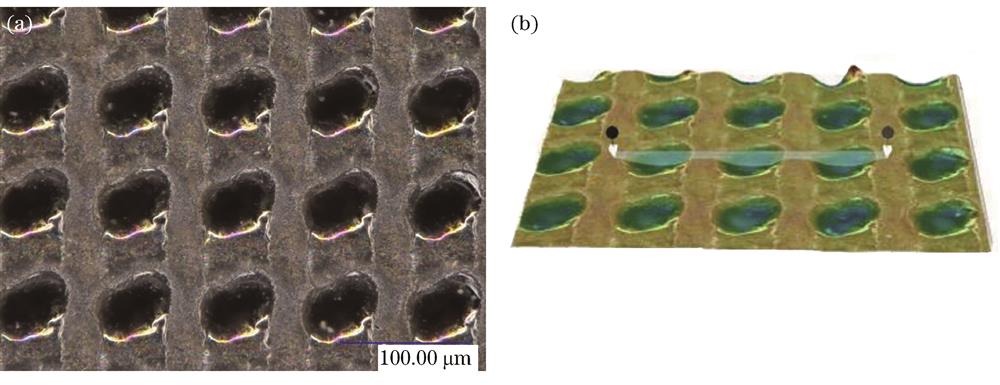 Surface morphology and 3D profile of micro-pits. (a) Surface morphology; (b) 3D profile