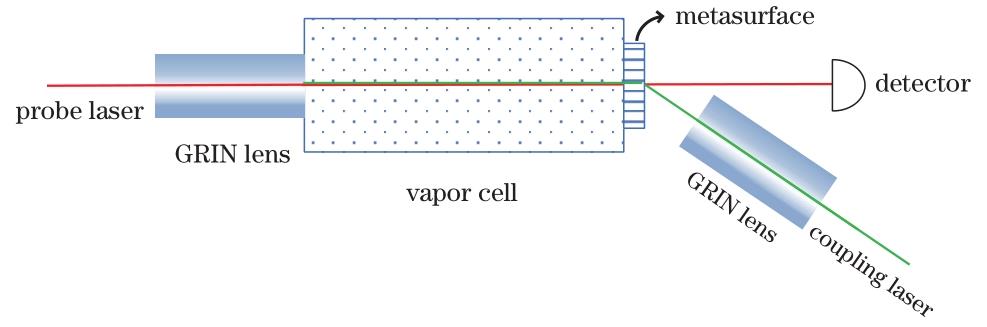 Diagram of the structure and optical path of the metasurface integrated vapor cell