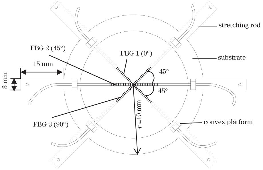 Structure of the FBG sensor