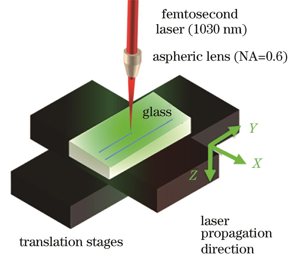 Schematic of femtosecond laser direct writing inside Li2O-Nb2O5-SiO2 glass setup. Laser propagation direction (along Z direction) is perpendicular to glass surface. Glass is fixed on translation stages to obtain line writing in XY plane