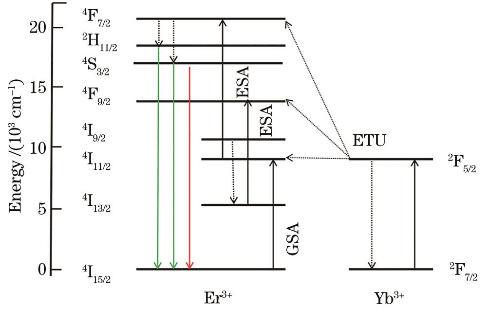 UC luminescence mechanism of the Er3+/Yb3+