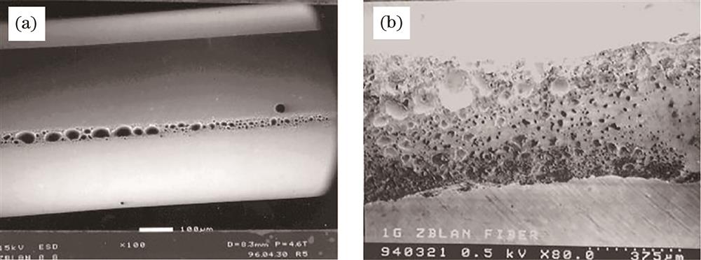 Surface morphology of fluoride fiber. (a) Terrestrial environment; (b) microgravity environment[9]