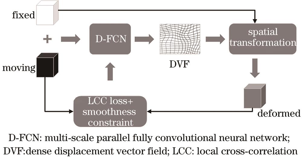 Flow chart of D-FCN lung image registration algorithm