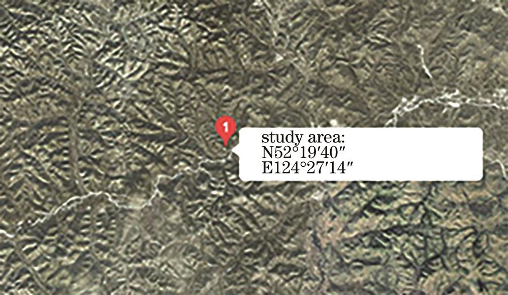 Geographical location of the study area