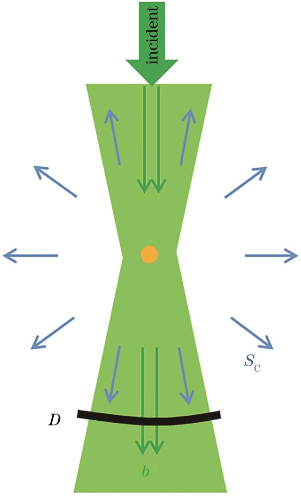 Schematic of field propagation direction and detection area of a Gaussian beam incident on a single nanoparticle from above down