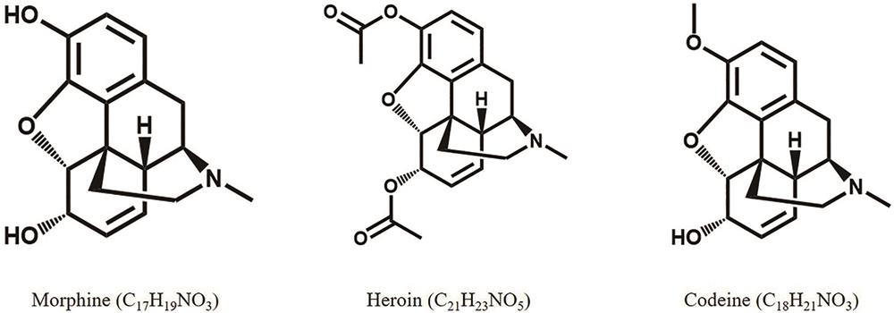 Molecular structures of morphine, heroin, and codeine