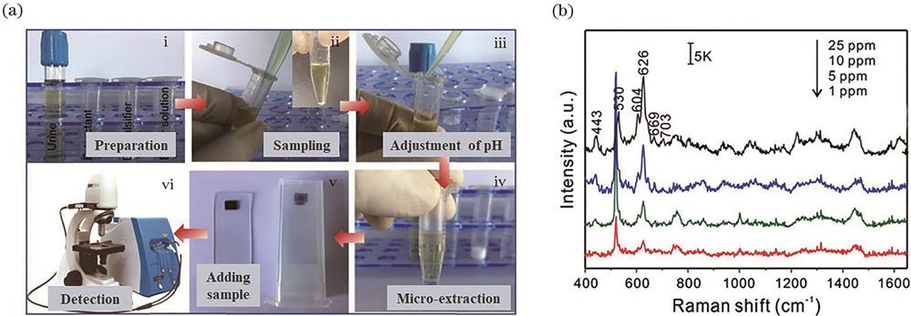 Experimental results. (a) Process of rapid detecting morphine in urine by LLME-SERS; (b) Raman spectra of morphine with different mass concentrations in urine[36]