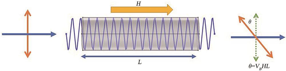 Schematic diagram of Faraday effect[13]