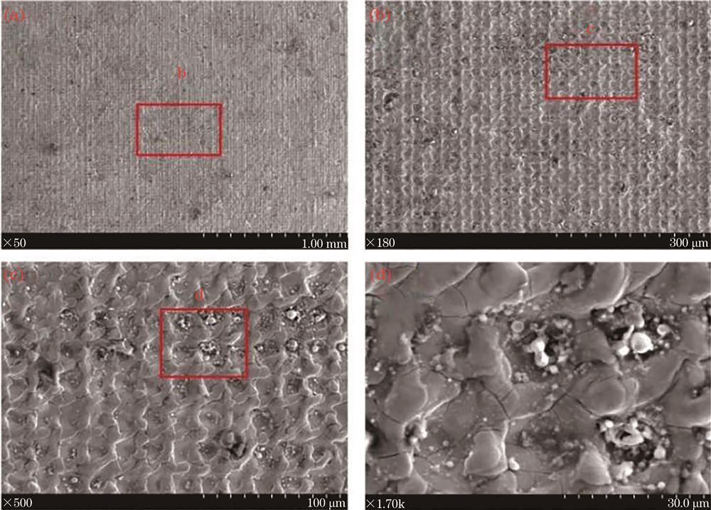 SEM images of micro-mold surface after the first marking