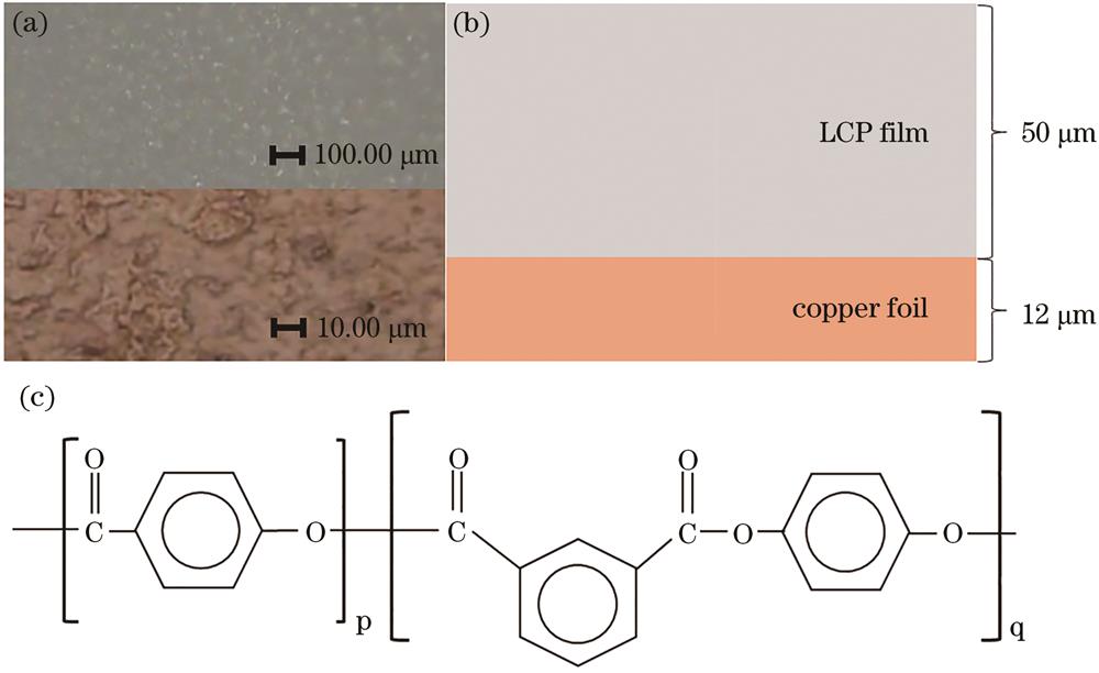 Experimental material. (a) Micromorphology of LCP flexible copper-clad laminates; (b) size of LCP flexible copper-clad laminates; (c) molecular structure of PHB-PPI copolymer LCP