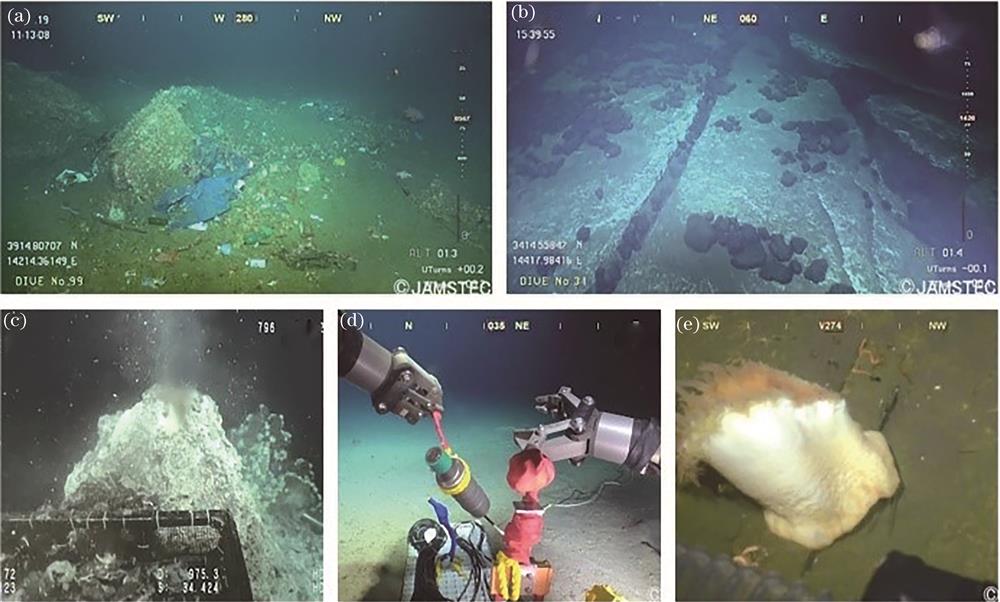 Examples of five classes of contents about underwater videos. (a) Submarine rubbish; (b) submarine topography; (c) hydrothermal vents; (d) marine operation; (e) marine life