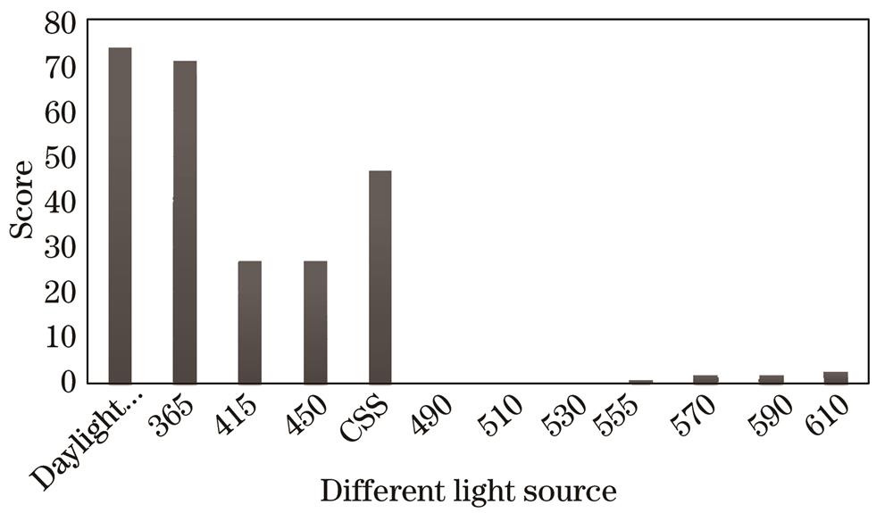 Scoring group’s evaluation of showing effect on A’s injure under different light sources