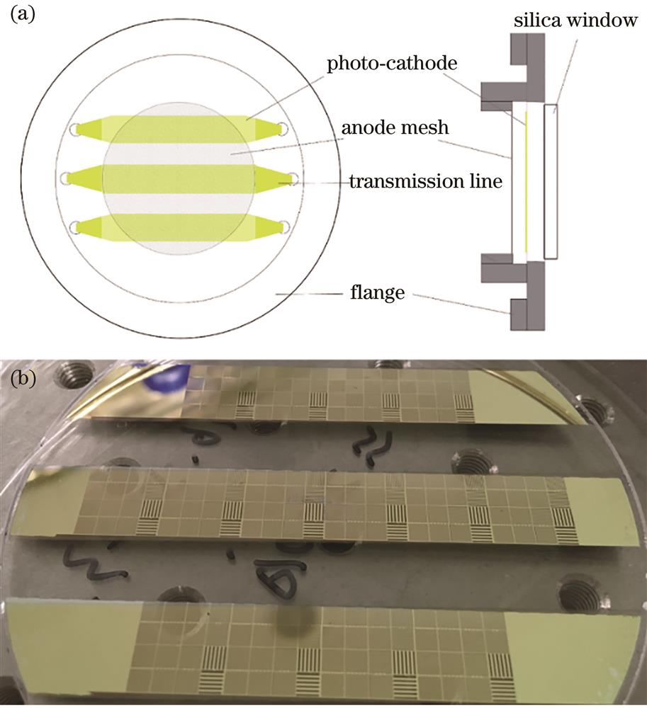 Transmission photo-cathode. (a) Schematic diagram; (b) photograph