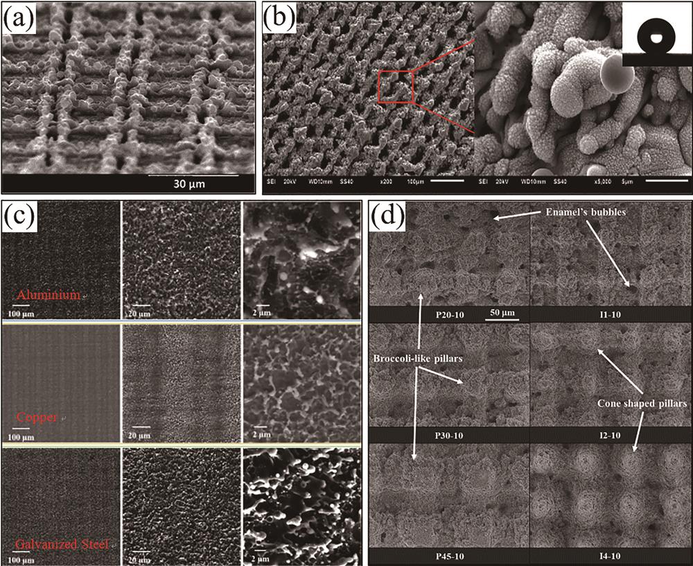 Surface microstructure constructed by DLW method. (a) Microns-pillar on aluminum foil[25]; (b) micro-nano grooves on carbon steel surface[26]; (c) microstructures of aluminum, copper and galvanized steel surfaces[27]; (d) broccoli-like and cone shaped pillar structures on enamel surface[28]