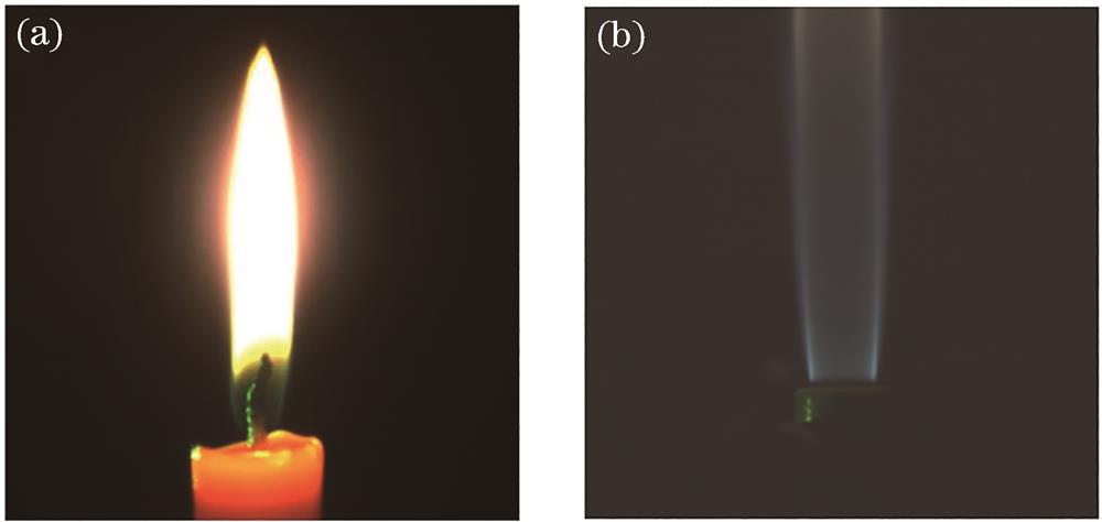 Measured flow field. (a) Candle-air flame; (b) propane-air flame
