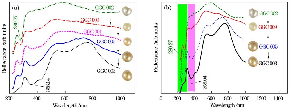 Experimental results. (a) UV-Vis diffuse reflectance spectra of golden pearls with different saturations; (b) reciprocal relationship between the intensity at 280 nm and 360 nm in the corresponding spectra