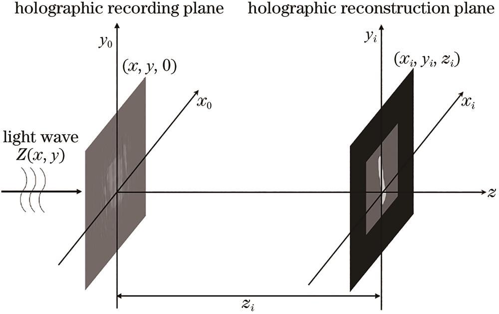 Schematic of digital holographic reconstruction