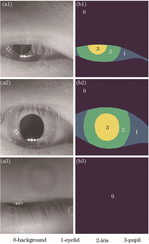 Schematic diagram of the label of the eye area image. (a) Original image; (b) label image