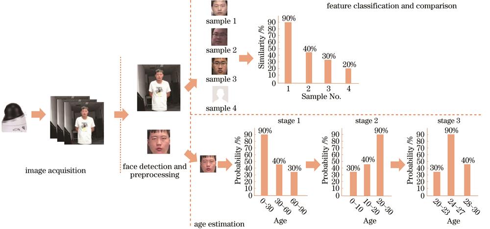 Flow chart of face recognition and age estimation system
