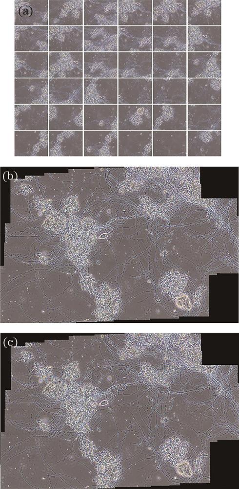 Mosaic of 36 activated sludge microscopic images. (a) 36 microscopic images of disordered activated sludge; (b) splicing result of proposed method ; (c) splicing result of Autostich method
