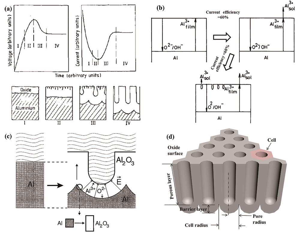 Formation mechanisms and structure diagrams for AAO formation based on different models. (a) Field-induced steady-state pore model[19]; (b) critical current density model[22]; (c) expansion of aluminum model[24]; (d) structural diagram of porous AAO film