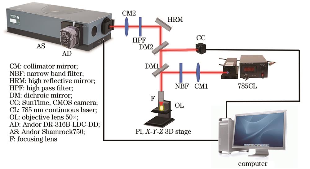 Schematic diagram of Raman detection system