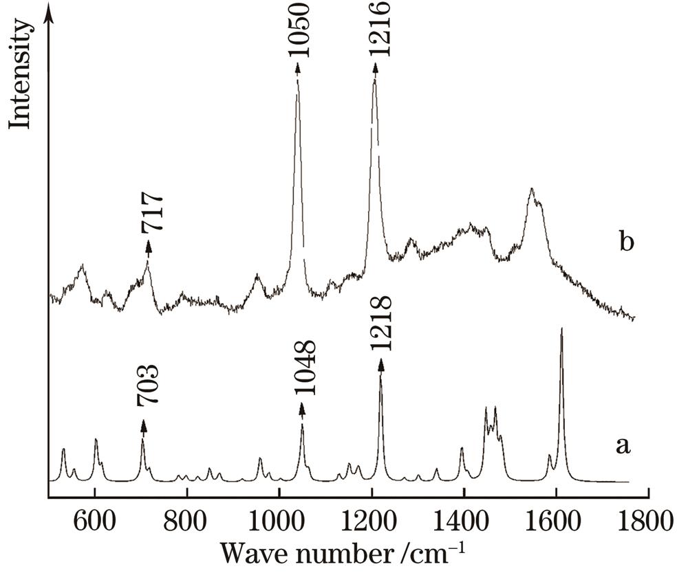 Theoretically calculated Raman spectra of fenthion (curve a) and SERS of 10 mg·L-1 fenthion standard solution (curve b)