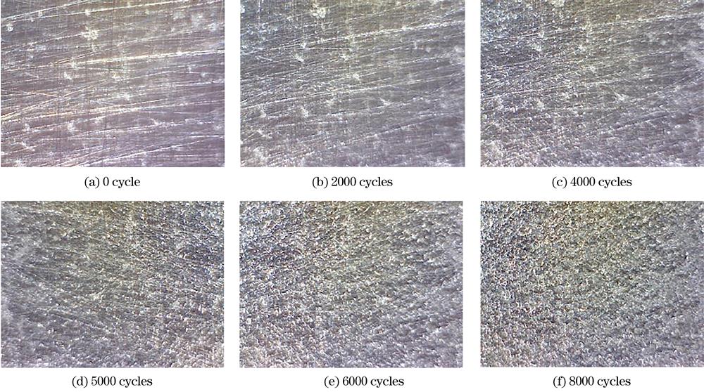 Texture evolution of metal surfaces under different fatigue cycles