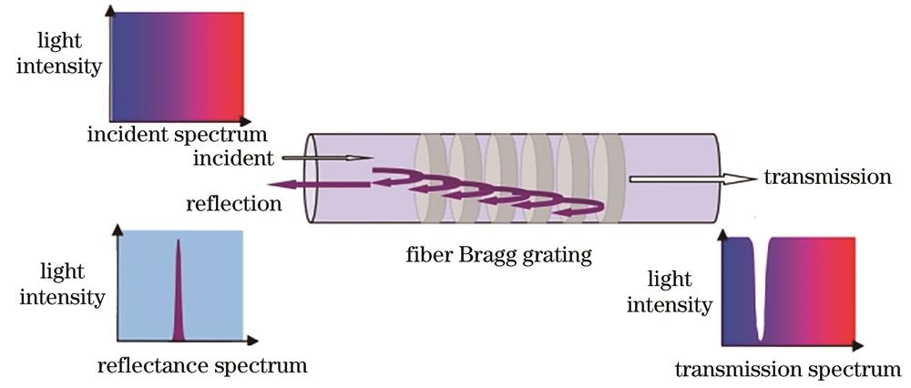 Schematic diagram of the structure of fiber Bragg grating