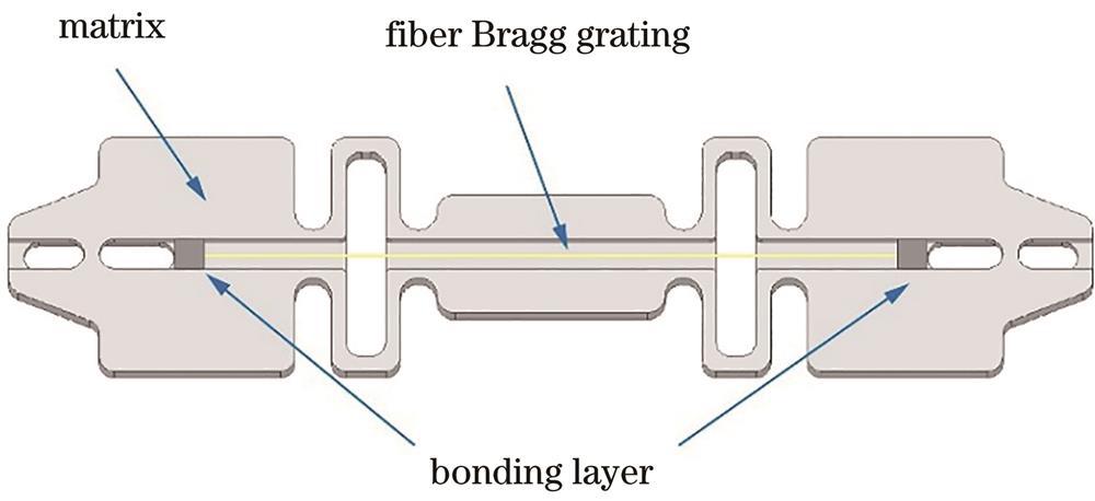 Three-dimensional model of the FBG sensor