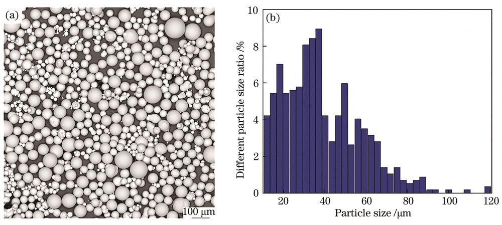 Microstructure and particle size distribution of TC4 powder. (a) Powder morphology; (b) percentage of powder particle size