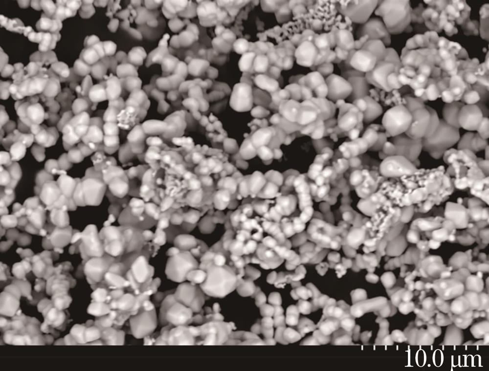 Microscopic appearance of molybdenum powder