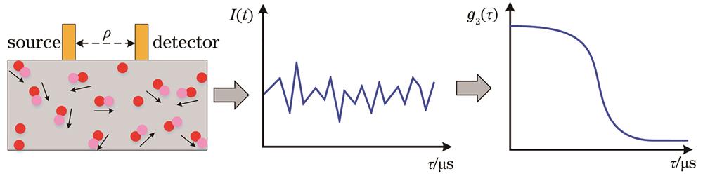Schematic of diffusion correlation spectroscopy