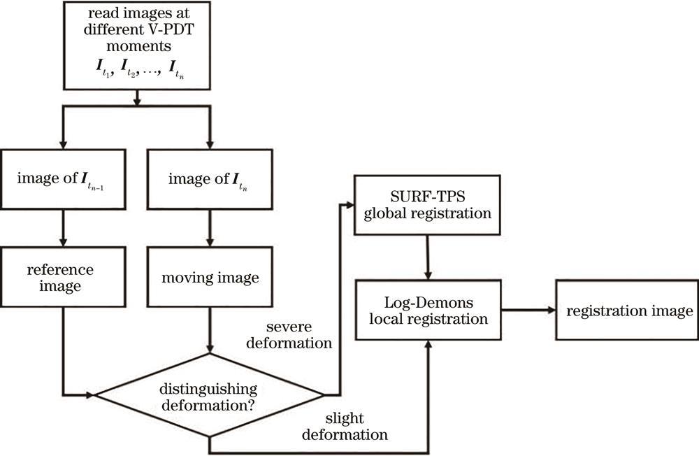 Registration flow chart of narrow-band light blood vessel image in V-PDT