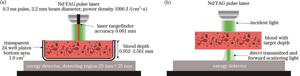 Transmitted laser energy detecting system of Nd∶YAG. (a) Schematic diagram of system; (b) principle of detection