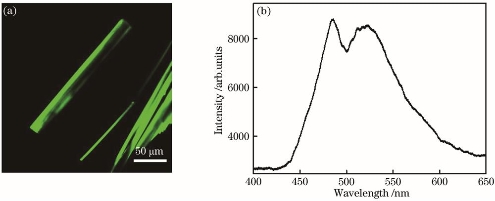 Test for two-photon imaging function. (a) Two-photon imaging of anthracene crystals; (b) two-photon fluorescence spectra of anthracene crystals