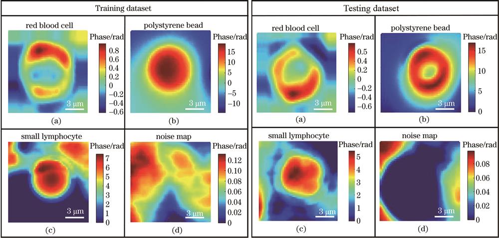 Examples of each class in training dataset (left) and testing dataset (right) (a) Red blood cell; (b) polystyrene bead; (c) small lymphocyte; (d) noise map