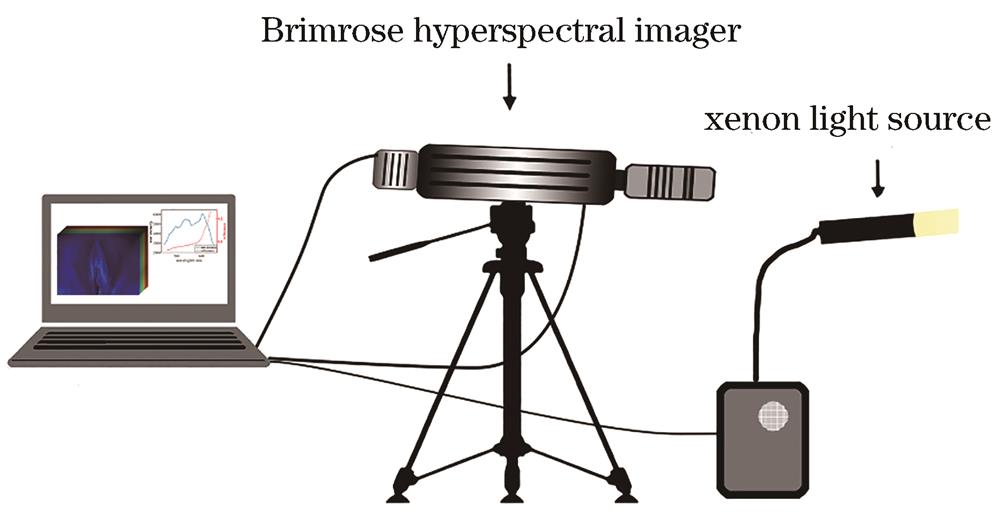 Schematic of the hyperspectral imaging system