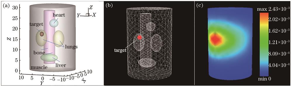 Research object of inhomogeneous cylinder simulation experiment. (a) Inhomogeneous cylinder model; (b) example of grid model of inhomogeneous cylinder; (c) example of forward simulation result of inhomogeneous cylinder