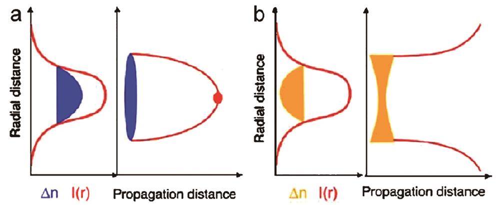 Dominant physical processes during intense femtosecond laser nonlinear filamentation. (a) Beam self-focusing induced by optical Kerr effect; (b) beam self-defocusing induced by laser ionized plasma[7]