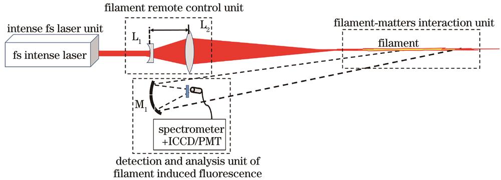 Schematic setup for remote femtosecond laser filament induced breakdown spectroscopy