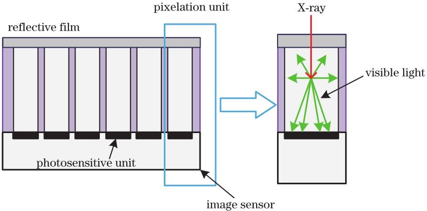 Pixel structure of the scintillation screen［40］